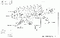 Hellfax funktionsschema.gif