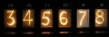 Canola-130-display.jpg